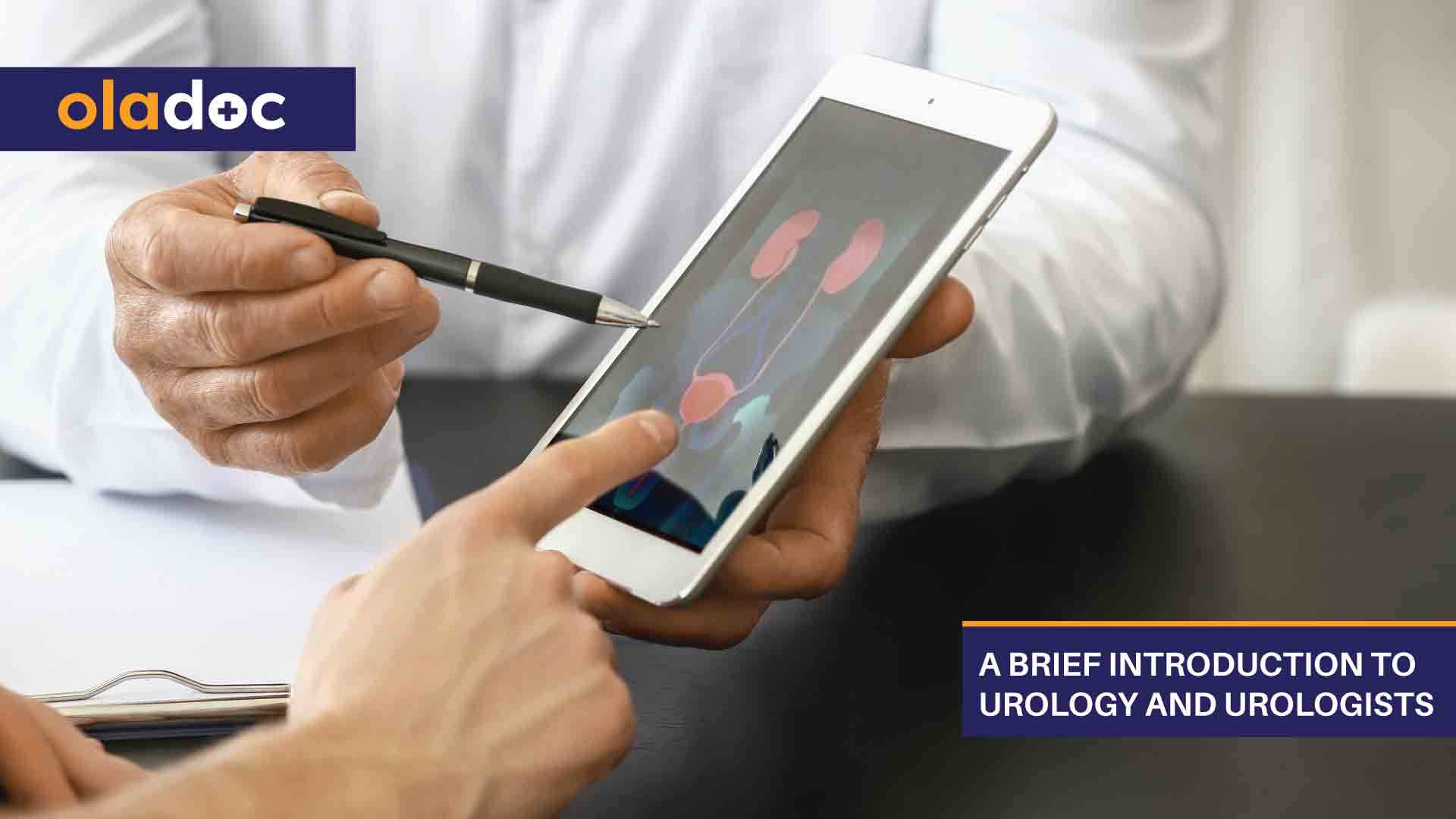 A Brief Introduction To Urology And Urologists