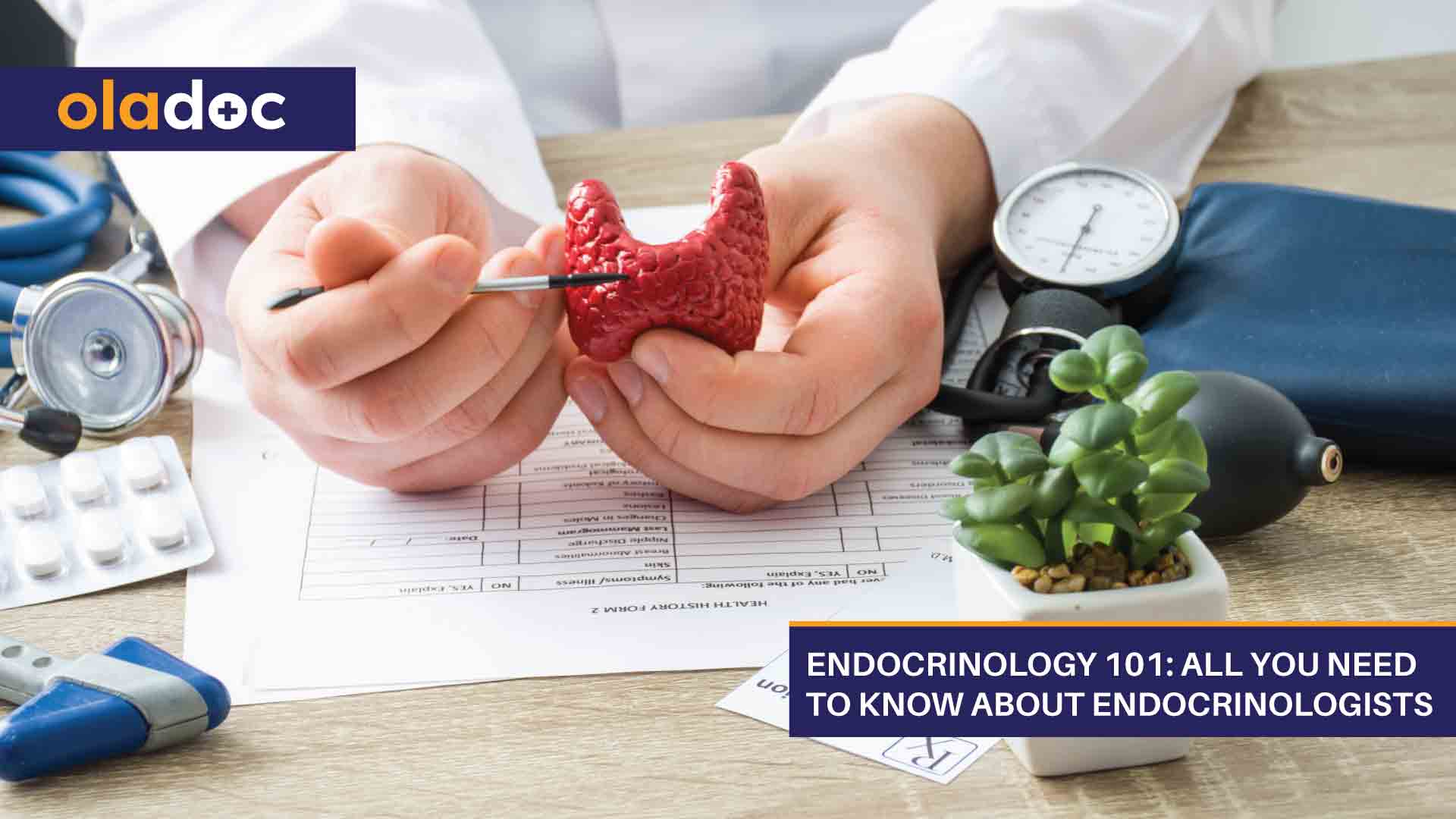 Endocrinology 101: All You Need To Know About Endocrinologists
