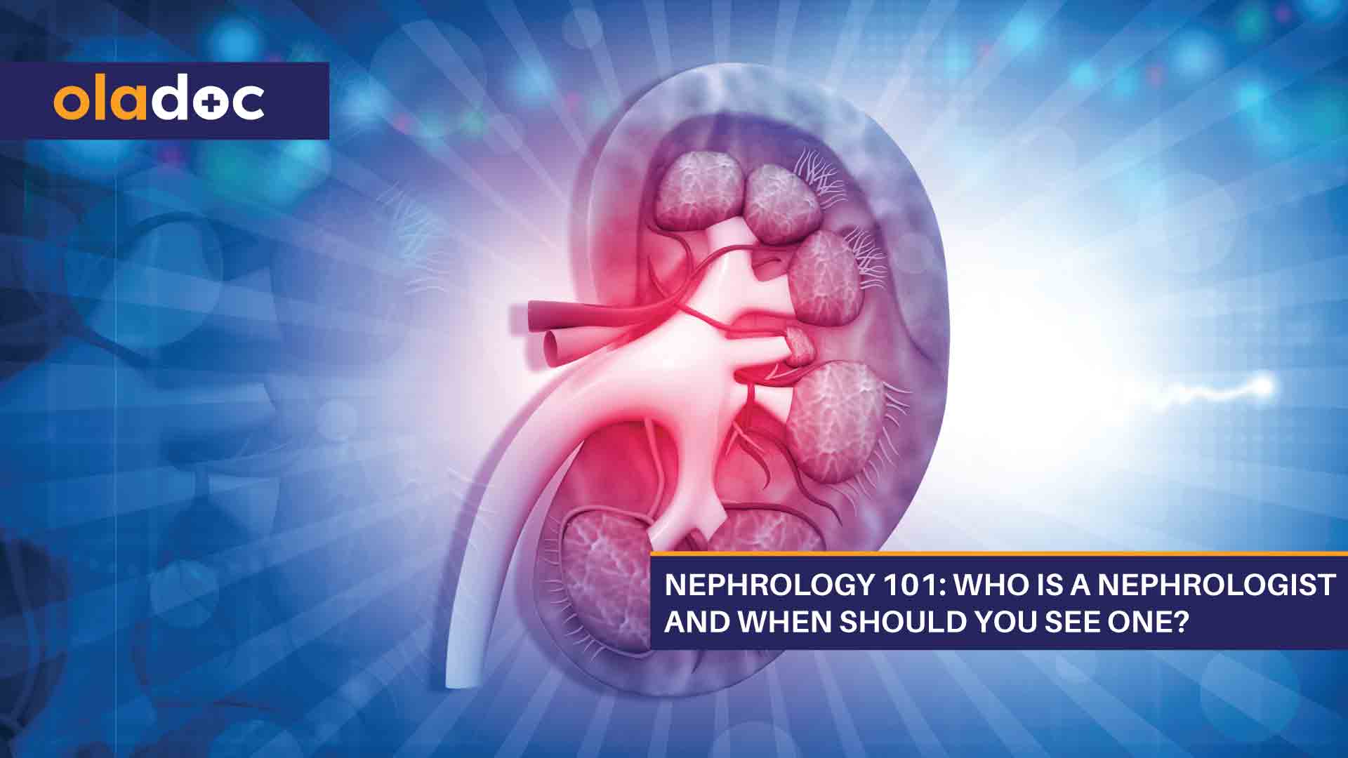 Nephrology 101: Who Is A Nephrologist And When Should You See One? thumbnail
