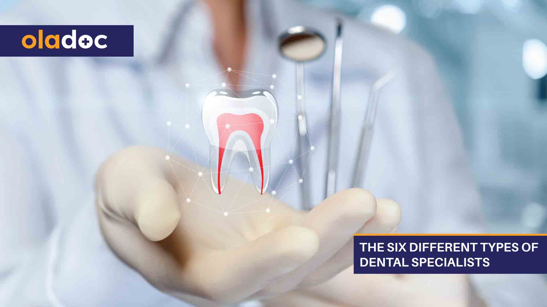 The-Six-Different-Types-Of-Dental-Specialists