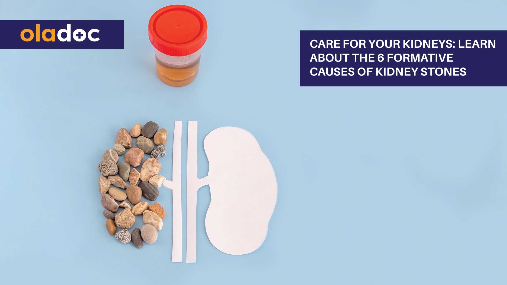 Care For Your Kidneys: Learn About The 6 Formative Causes Of Kidney Stones thumbnail