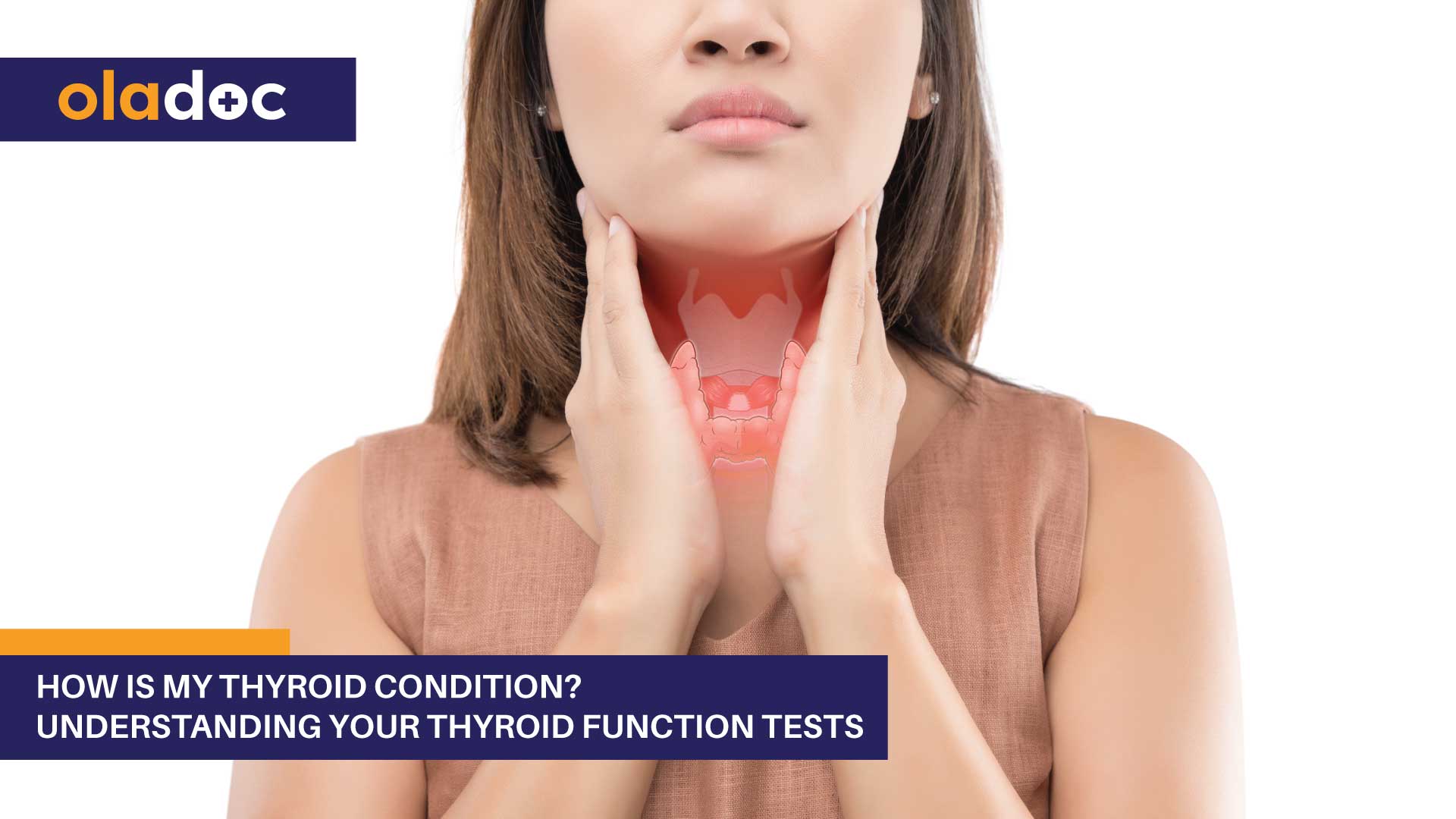 thyroid function tests