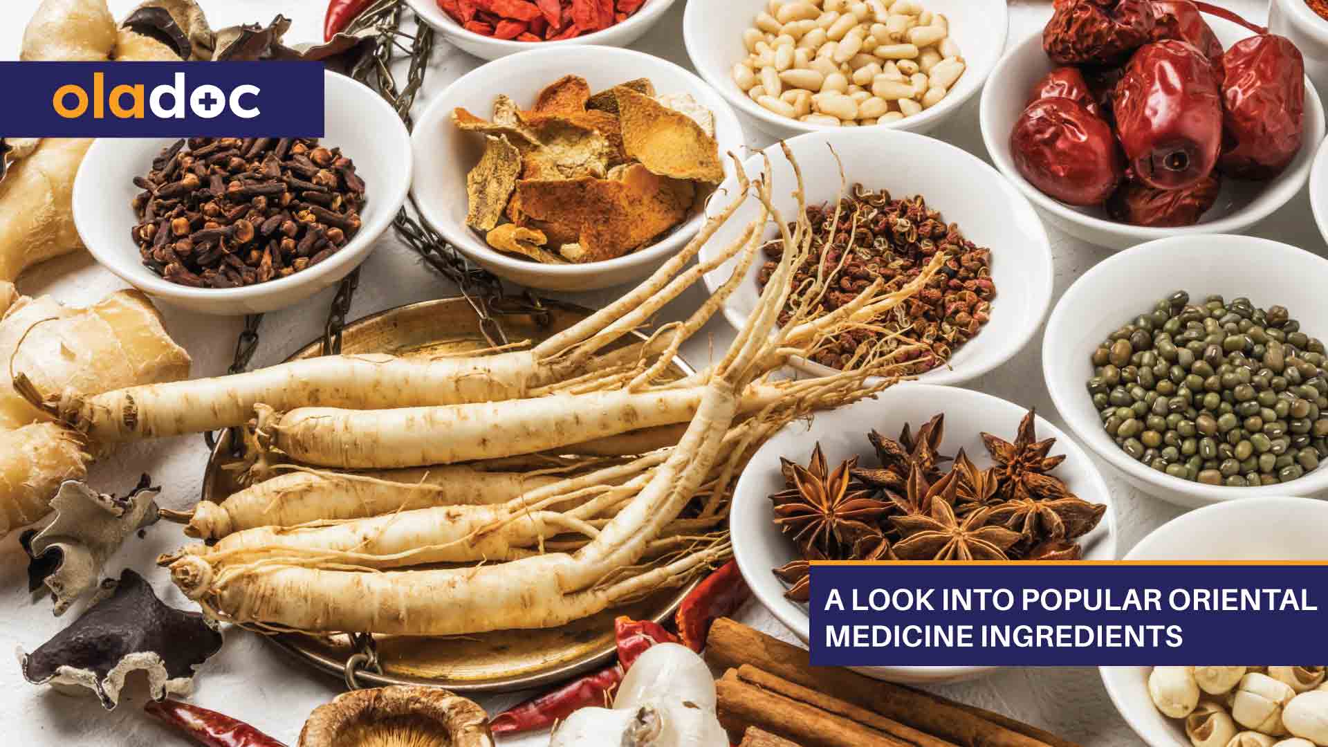 A Look Into Popular Oriental Medicine Ingredients thumbnail