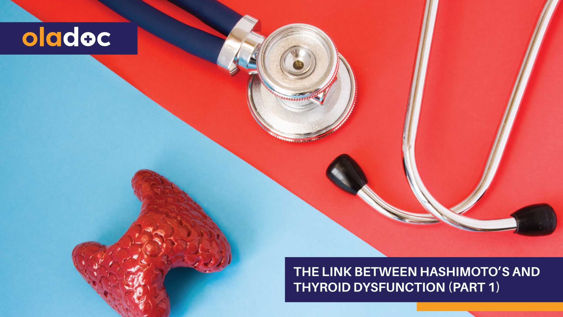 The Link Between Hashimotoβs and Thyroid Dysfunction (Part 1)