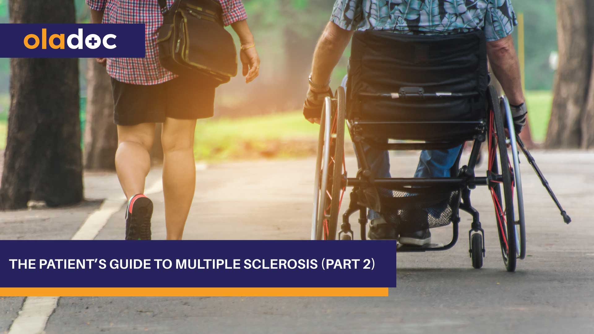 The Patientβs Guide to Multiple Sclerosis (Part 2)