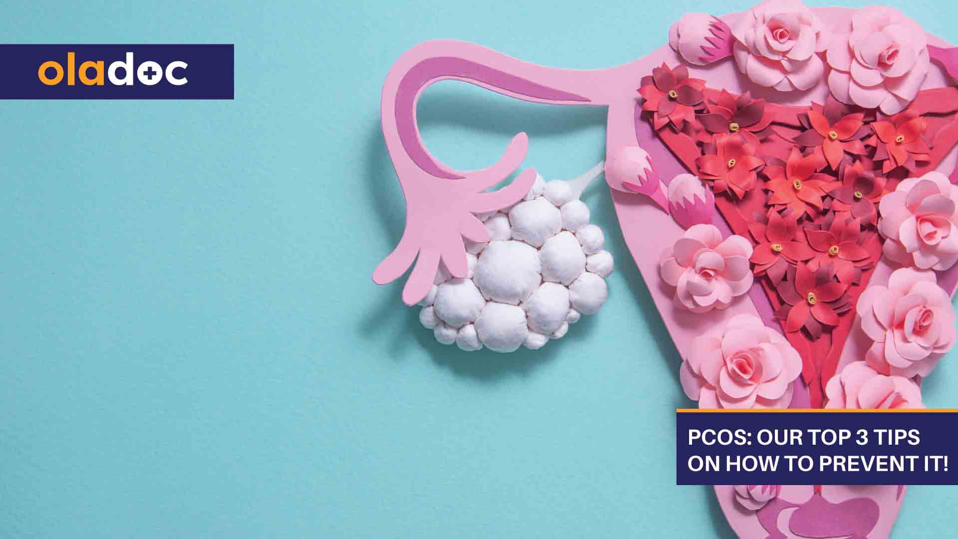 Pcos-Our-Top-3-Tips-on-How-to-Prevent-It!