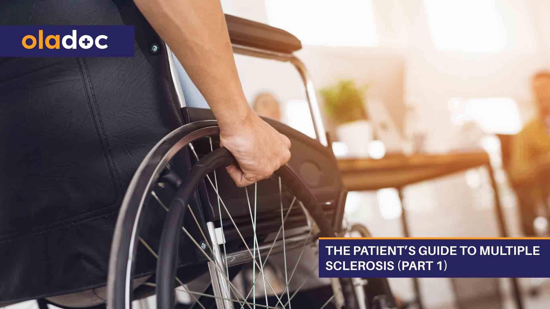 The Patientβs Guide to Multiple Sclerosis (Part 1)