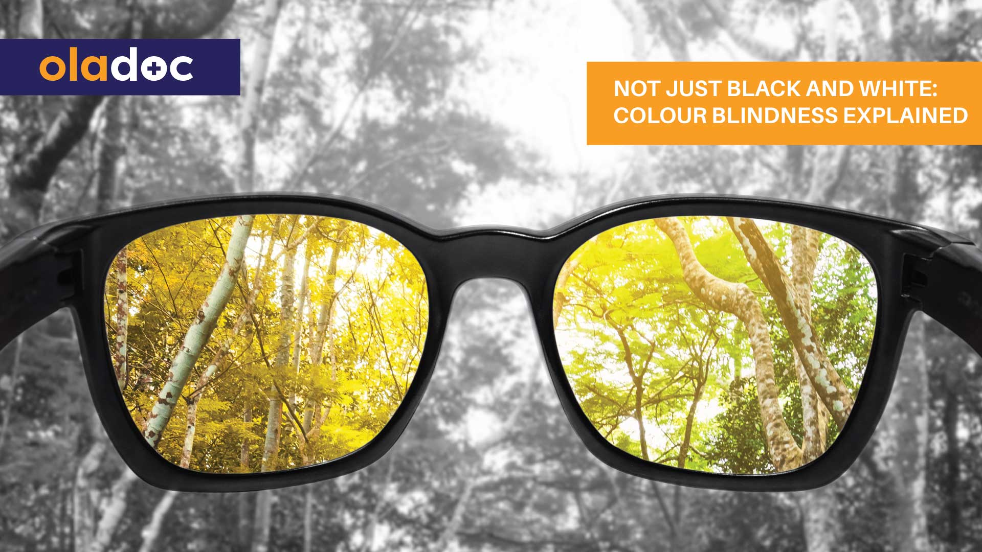 Not Just Black and White: Colour Blindness Explained thumbnail