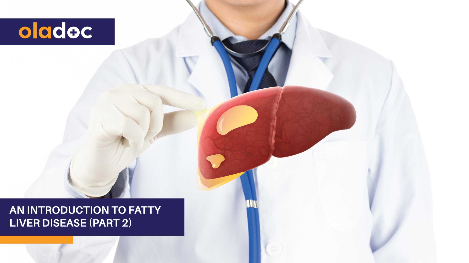 An Introduction to Fatty Liver Disease (Part 2) thumbnail