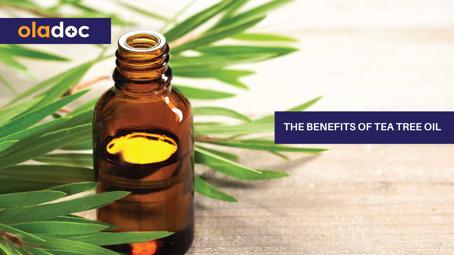 The Benefits of Tea Tree Oil thumbnail