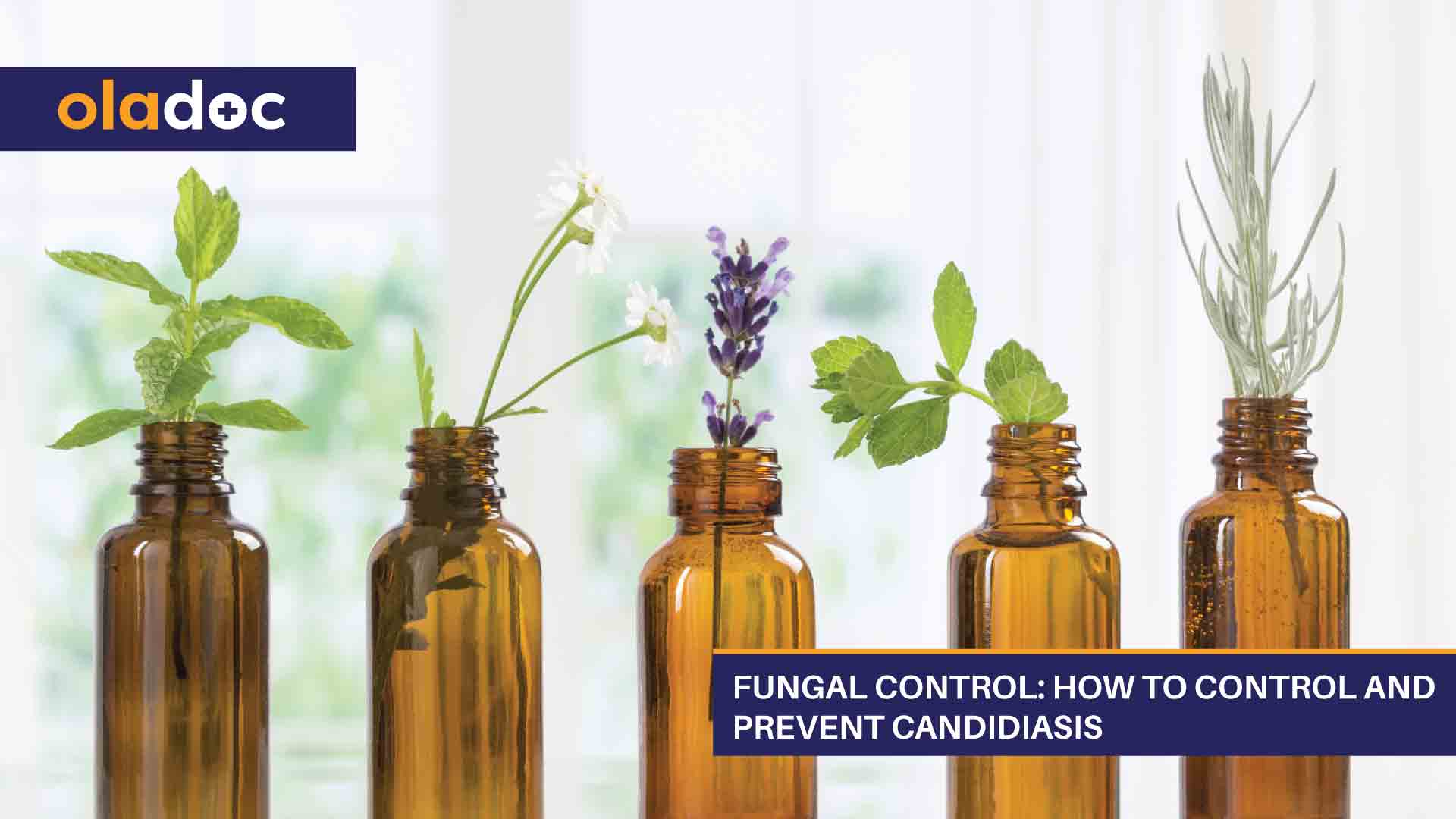 Fungal Control: How to Control and Prevent Candidiasis thumbnail