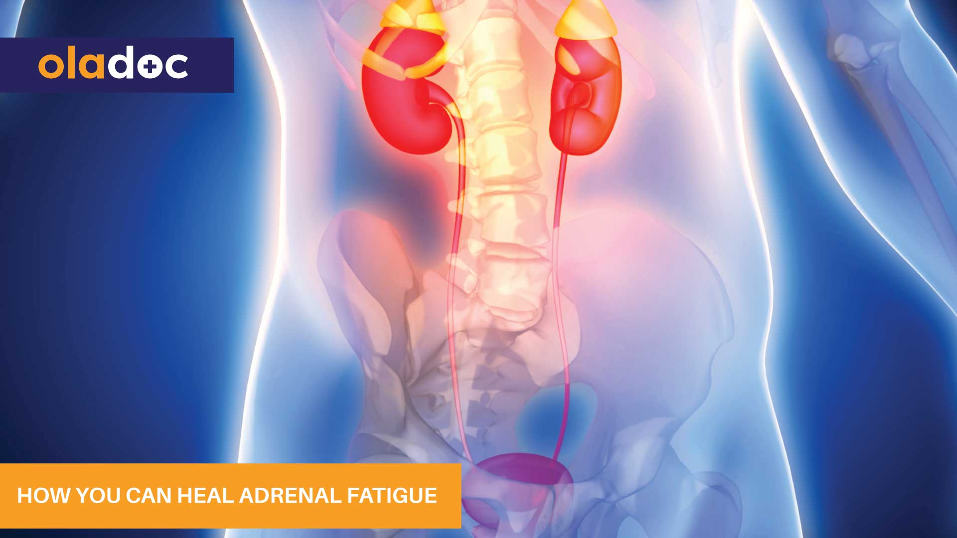 How You Can Heal Adrenal Fatigue thumbnail