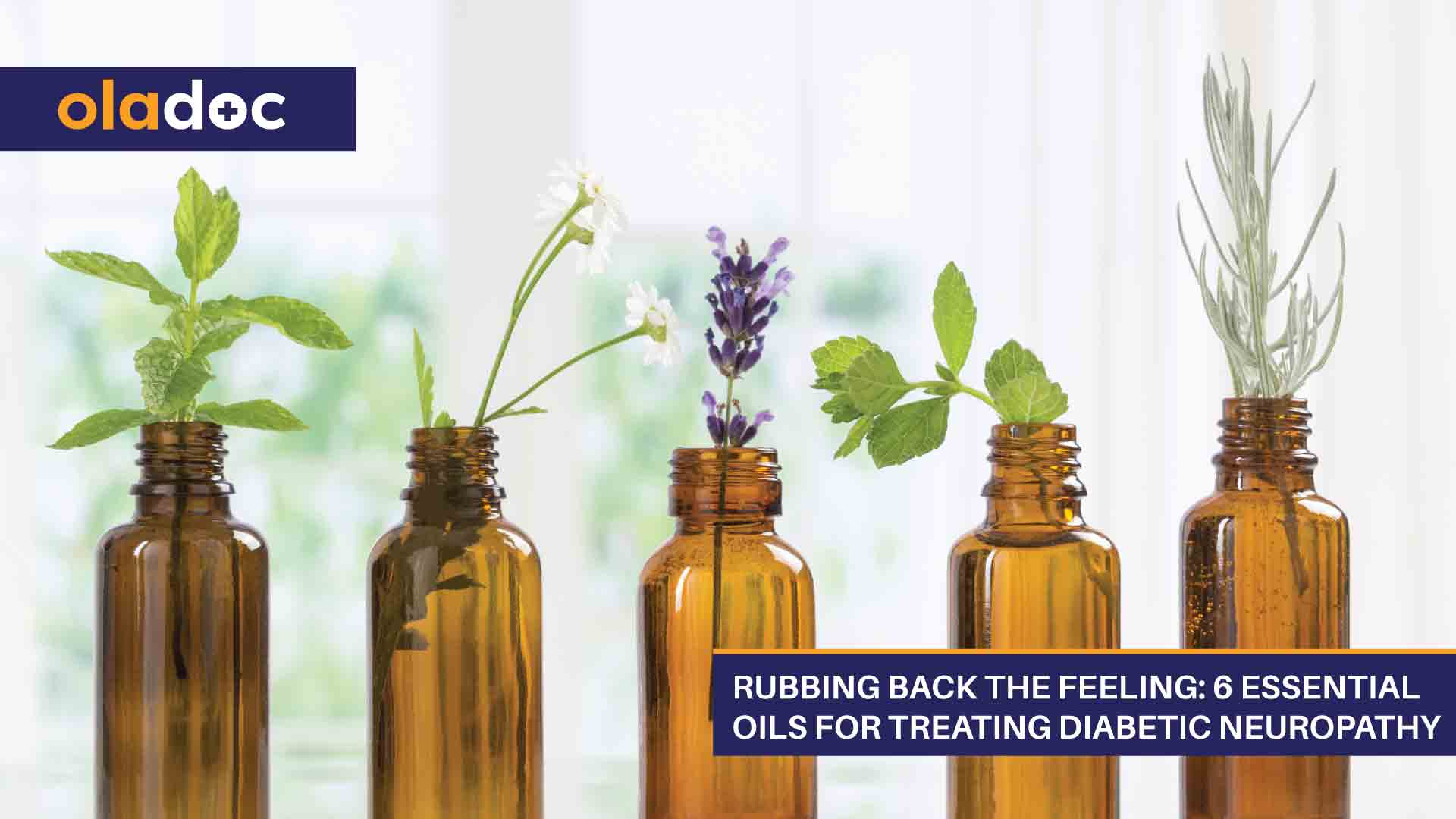 Rubbing Back the Feeling: 6 Essential Oils for Treating Diabetic Neuropathy thumbnail