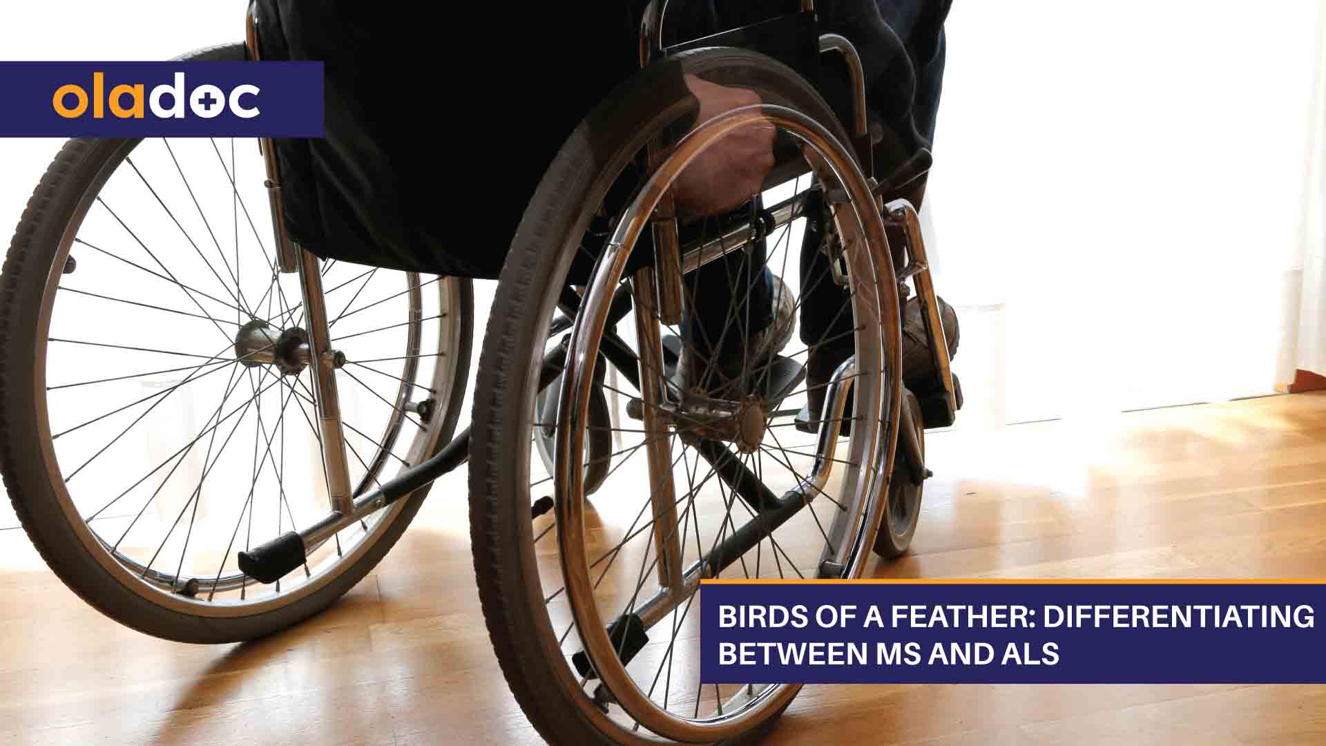 Birds of a Feather: Differentiating Between MS and Als thumbnail