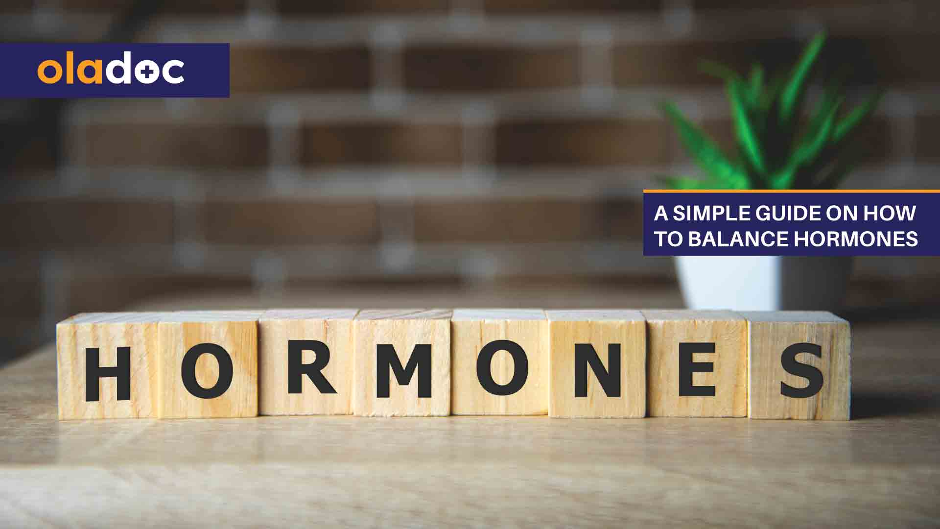 A Simple Guide on How to Balance Hormones thumbnail