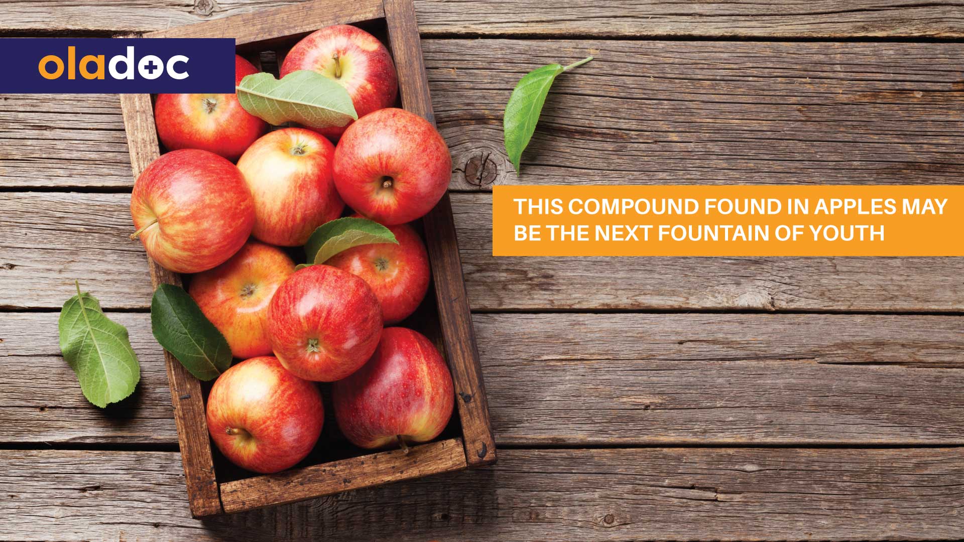 This Compound Found in Apples May Be the Next Fountain of Youth thumbnail