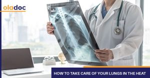 Lungs