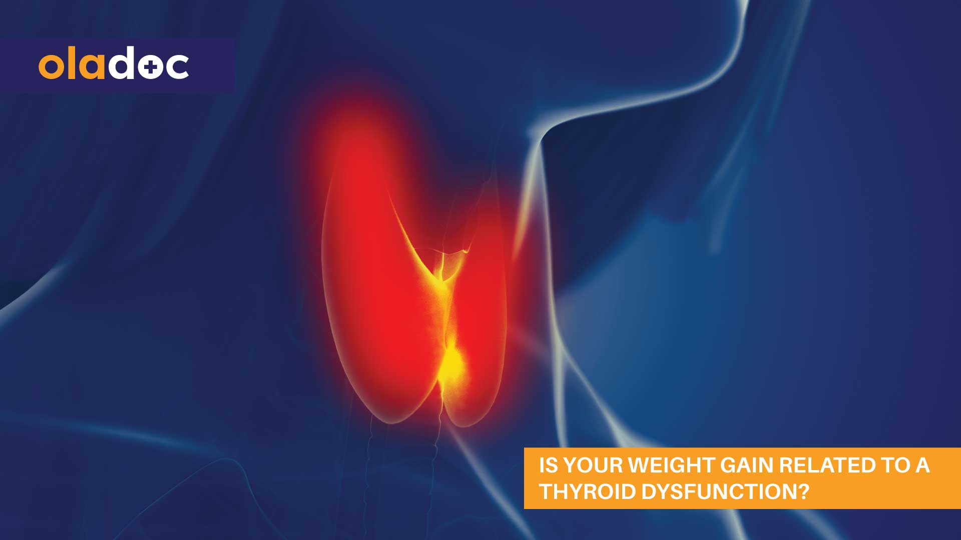 Is Your Weight Gain Related To A Thyroid Dysfunction? thumbnail