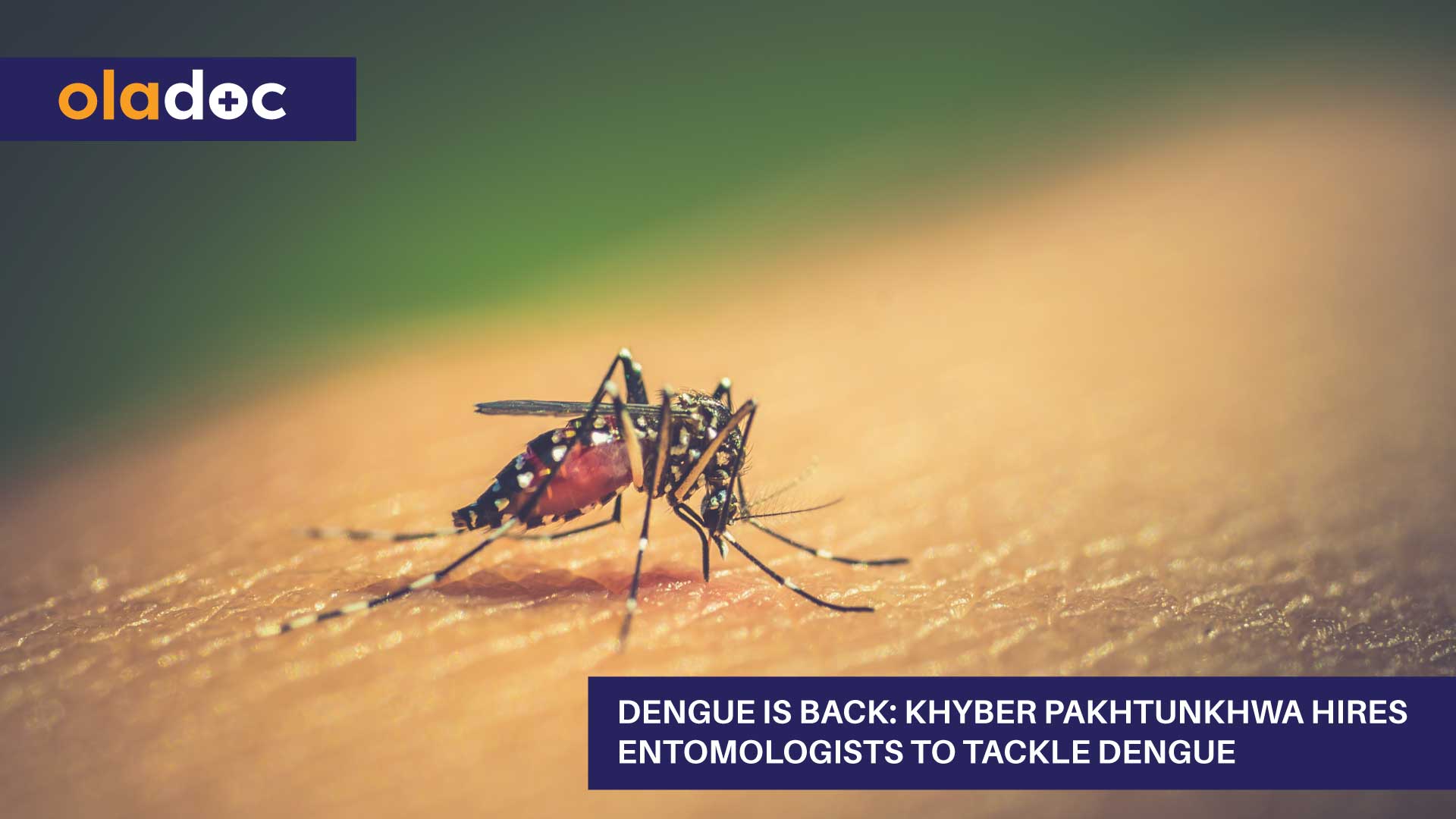 Dengue