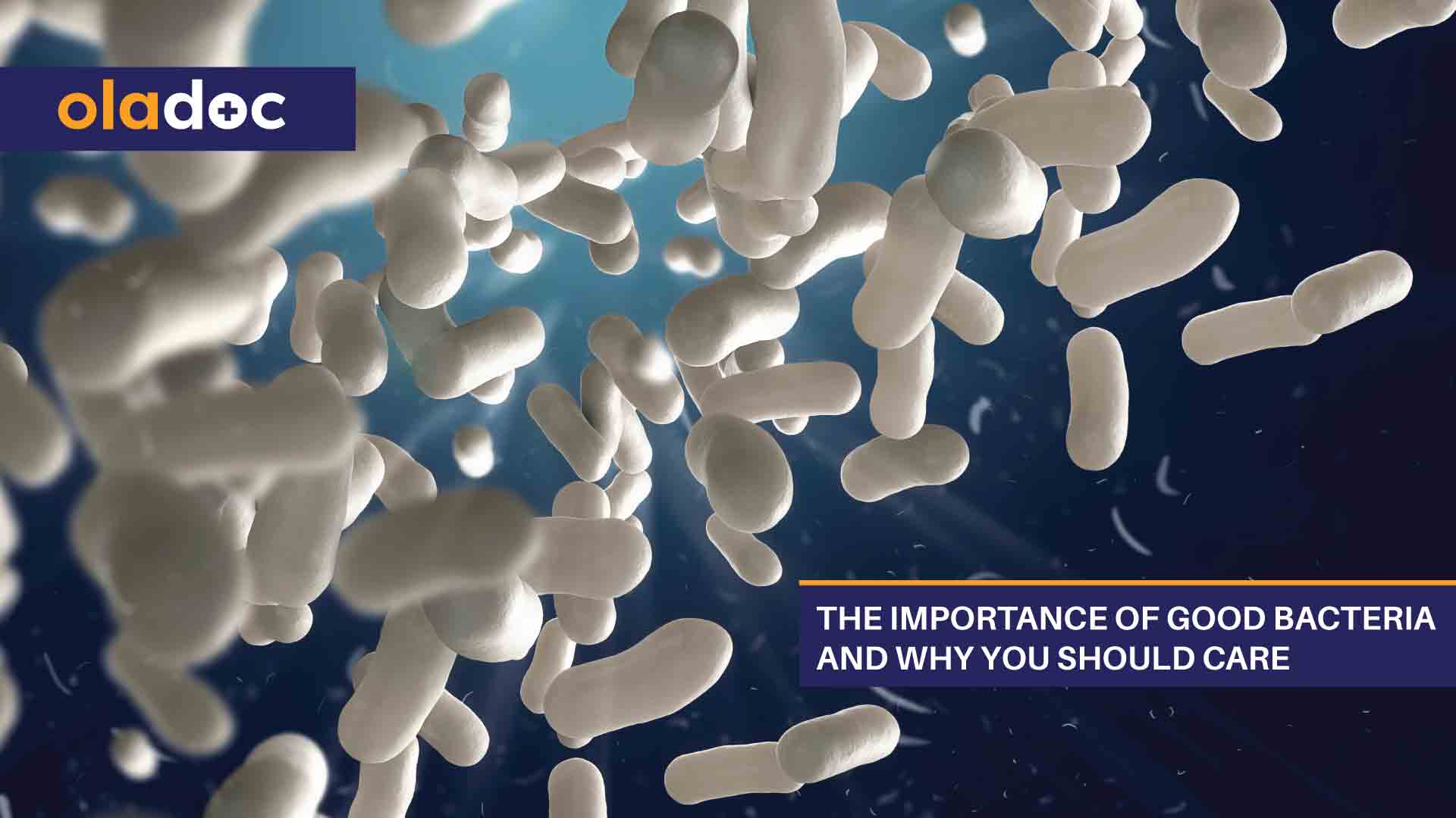 The-Importance-of-Good-Bacteria-and-Why-You-Should-Care