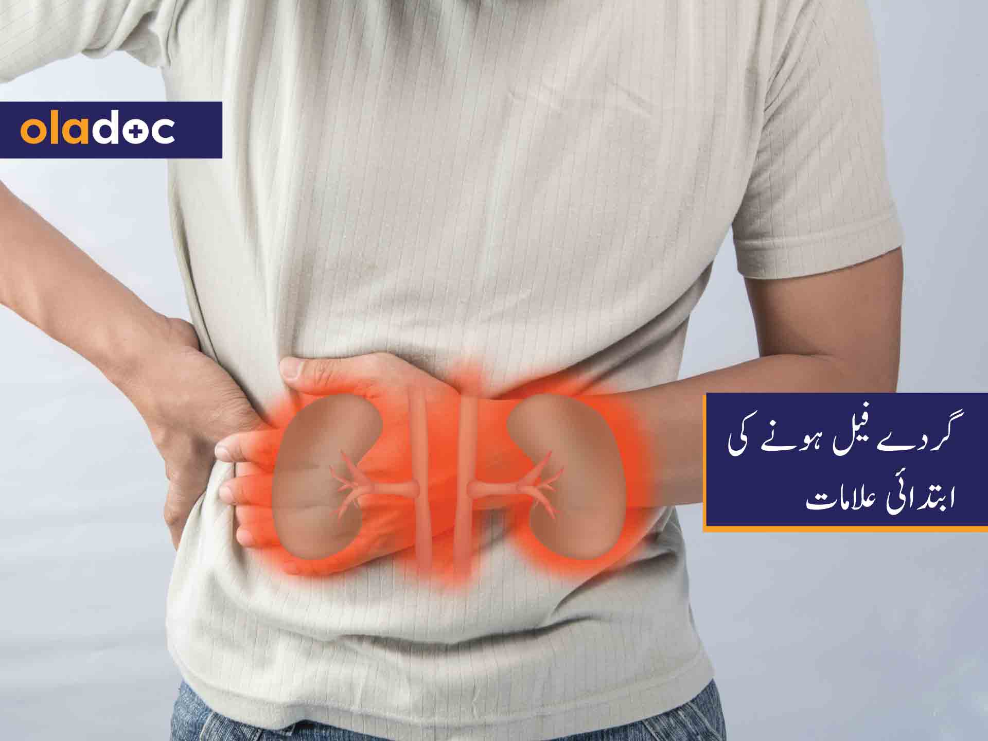 گردے فیل ہونے کی ابتدائی علامات thumbnail