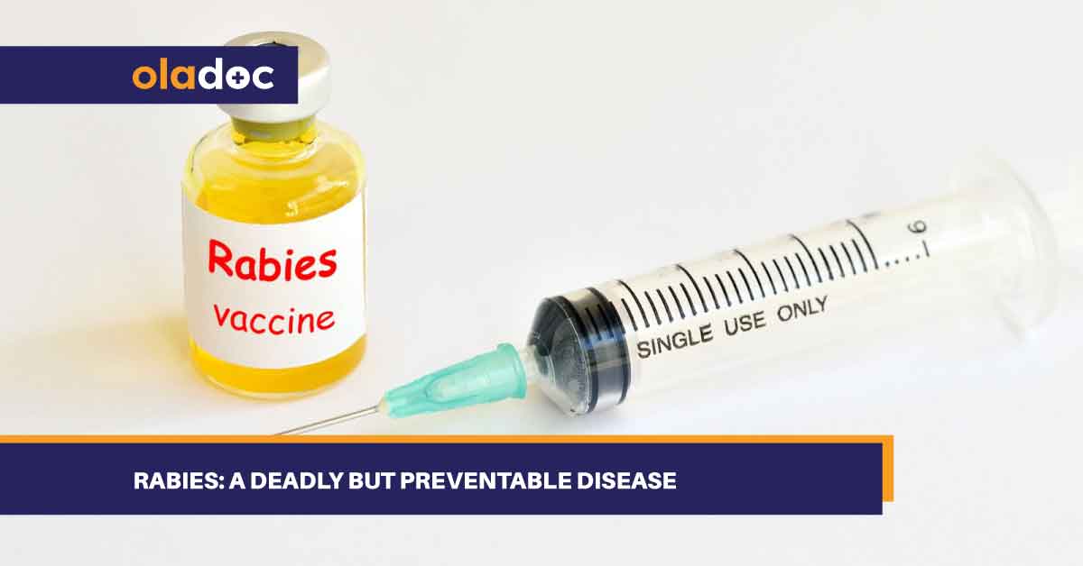 Rabies A Deadly But Preventable Disease