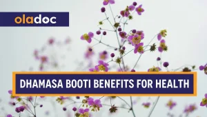 Dhamasa Booti
