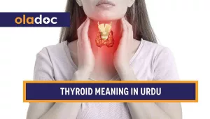 thyroid meaning in Urdu