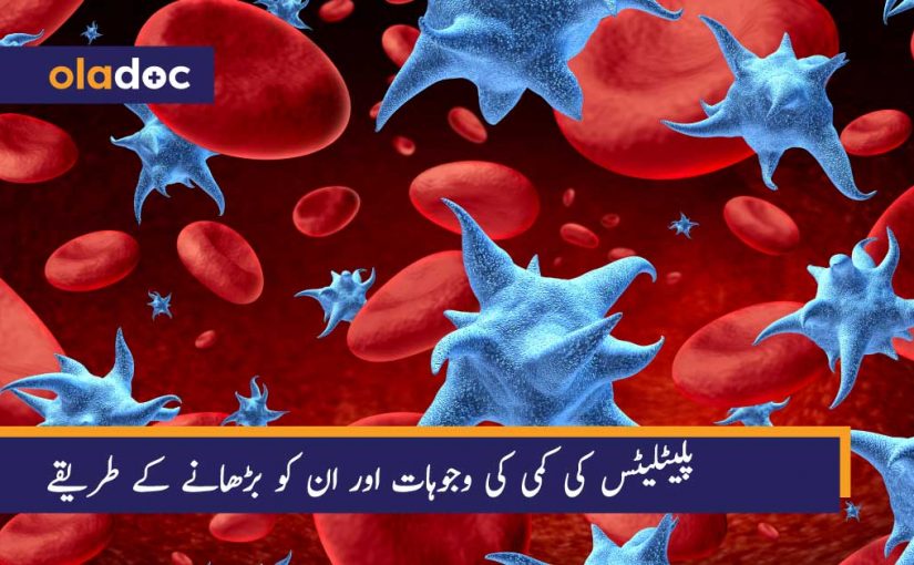 پلیٹلیٹس کی کمی کی وجوہات اور ان کو بڑھانے کے طریقے thumbnail