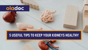 Kidney
