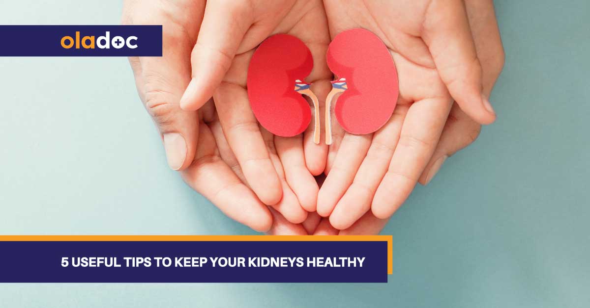 5 Useful Tips To Keep Your Kidneys Healthy