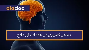 Brain