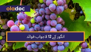 angoor ke fawaid in Urdu