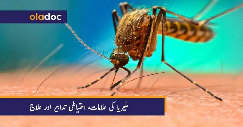 ملیریا کی علامات، احتیاطی تدابیر اور علاج thumbnail