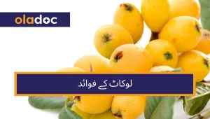 Loquat