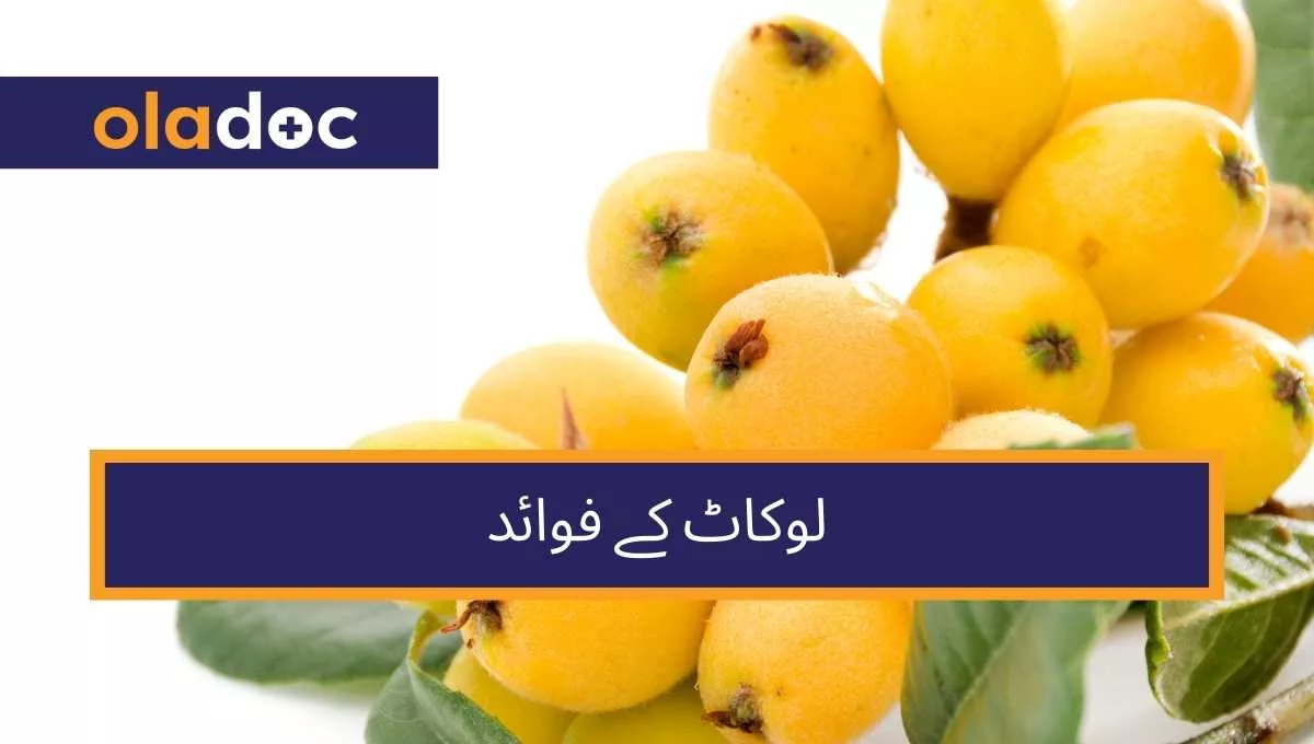 Loquat