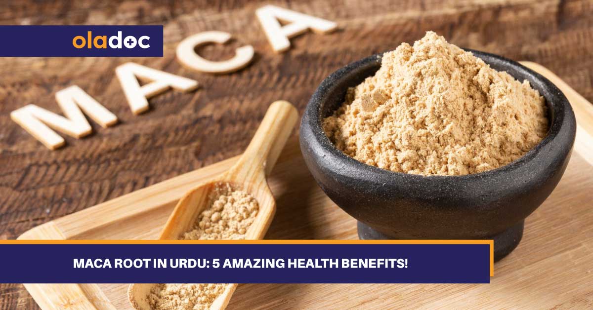 Maca Root In Urdu (میکا جڑ) 5 Amazing Health Benefits!