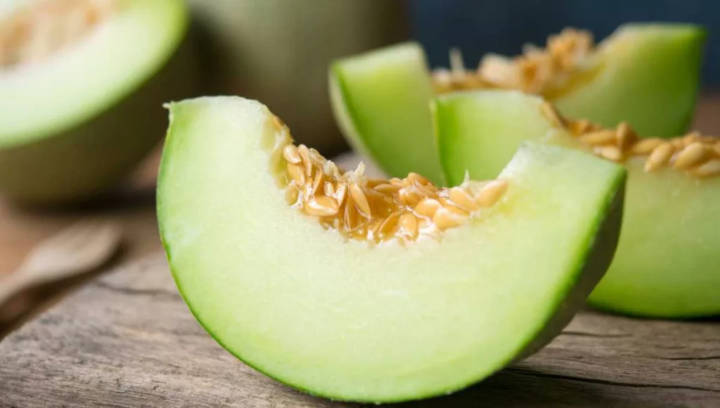 A slice of muskmelon