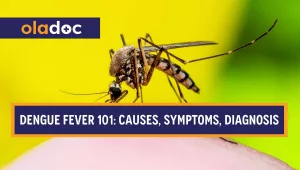 A dengue-carrying Aedes aegypti mosquito perched on a human arm, preparing to bite.