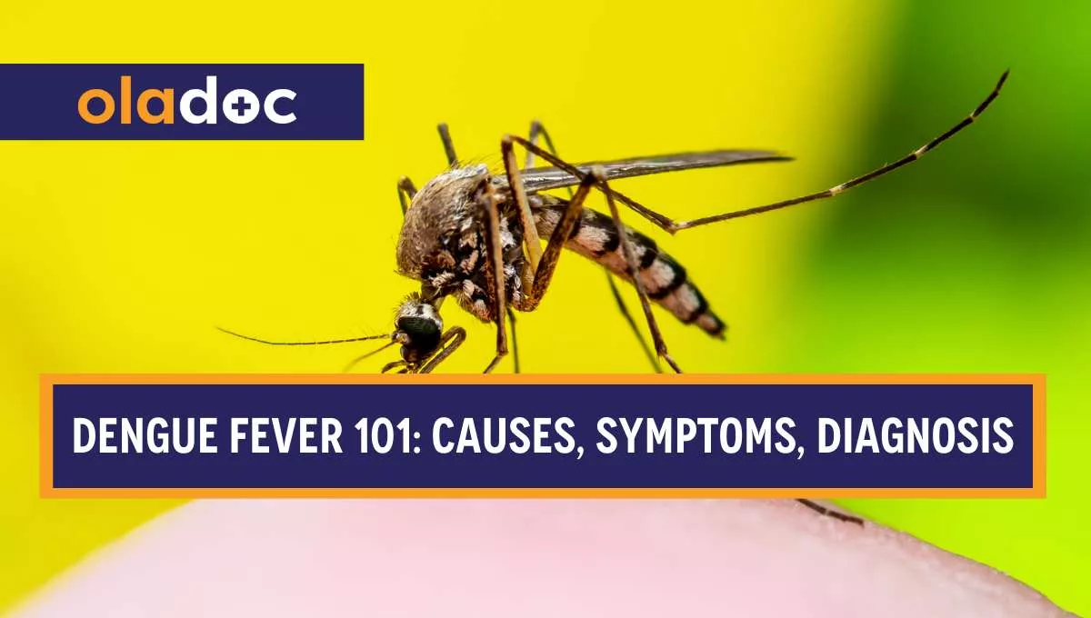 Dengue Fever 101: Causes, Symptoms, Diagnosis