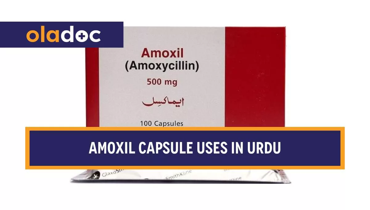 کیا ہے اور کیوں استعمال کیا جاتا ہے؟ Amoxil Capsule Uses in Urdu