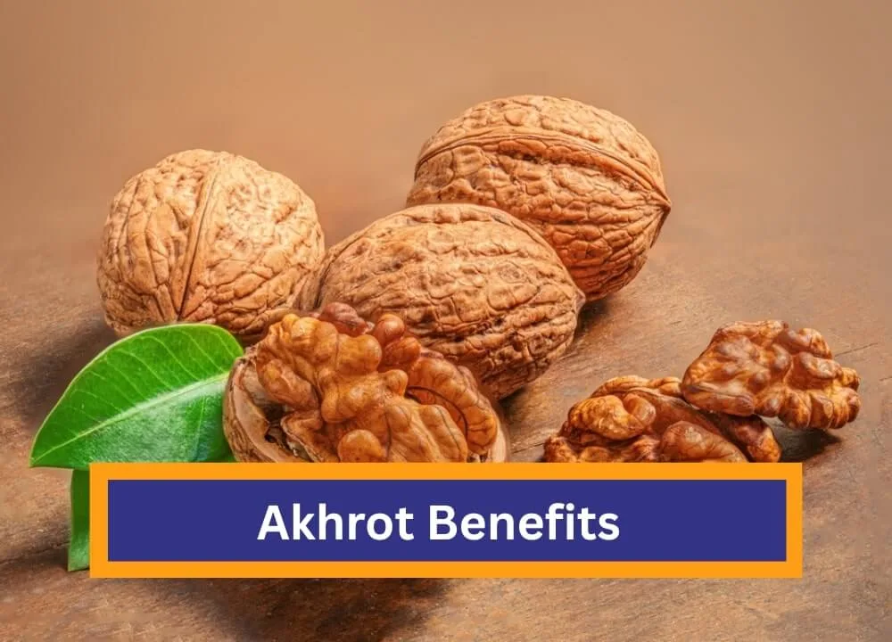Akhrot (Walnut) Benefits