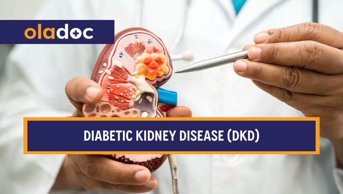 Diabetic Kidney Disease (DKD): Its Contribution to Chronic Kidney Disease and the Evolution of Modern Therapy