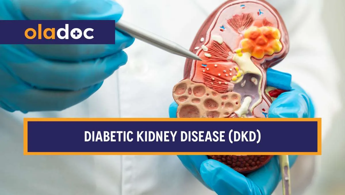 Diabetic Kidney Disease (DKD): Its Contribution to Chronic Kidney Disease and the Evolution of Modern Therapy