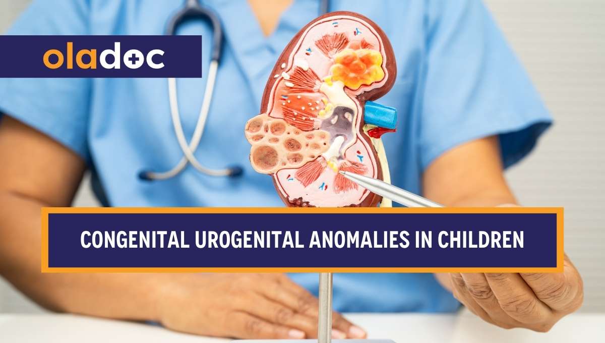 Congenital Urogenital Anomalies in Children: Causes, Symptoms, and Treatment thumbnail