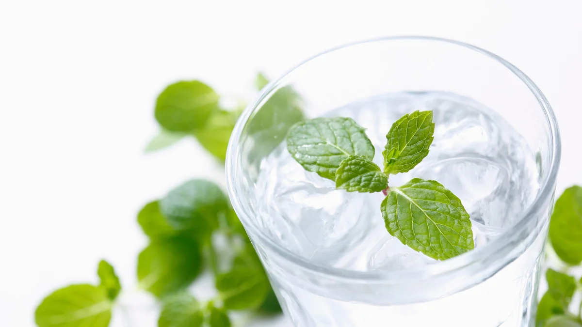 Mint Detox Water: Benefits, Uses, and How to Make It