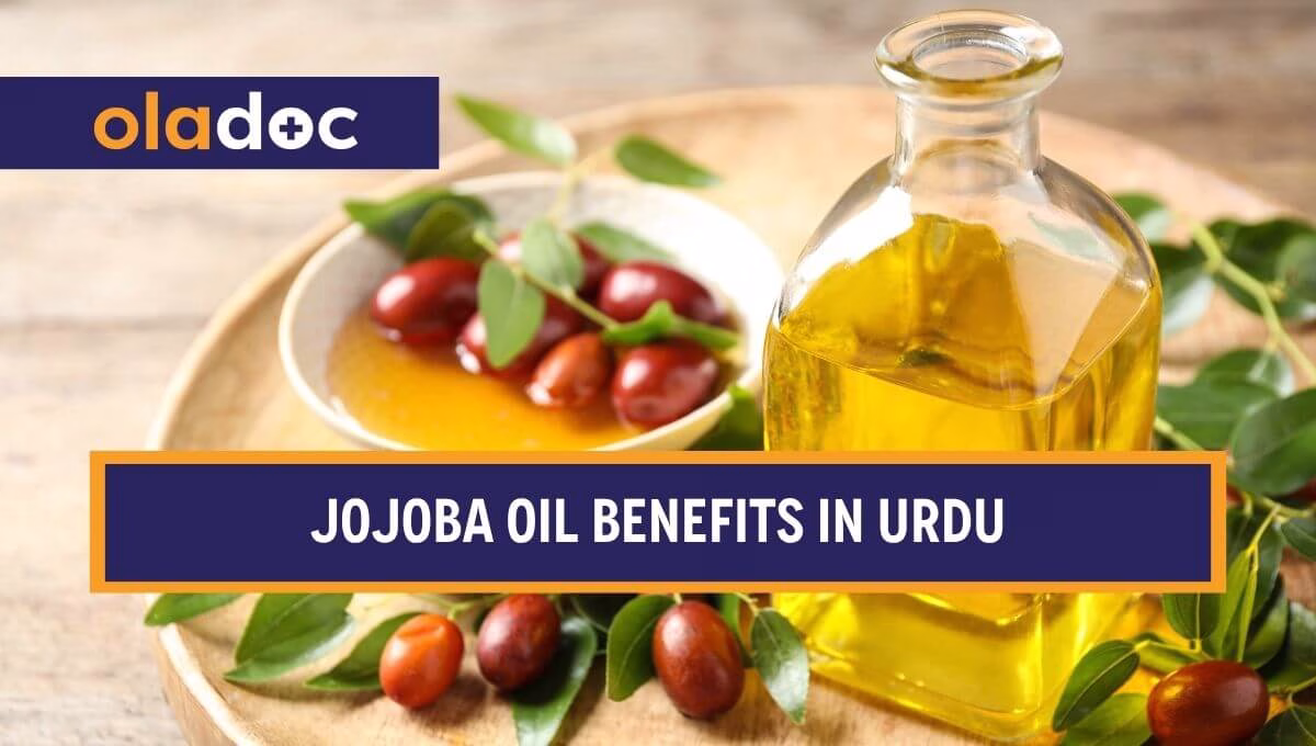 Jojoba Oil in Urdu: Benefits, Uses and Price in Pakistan