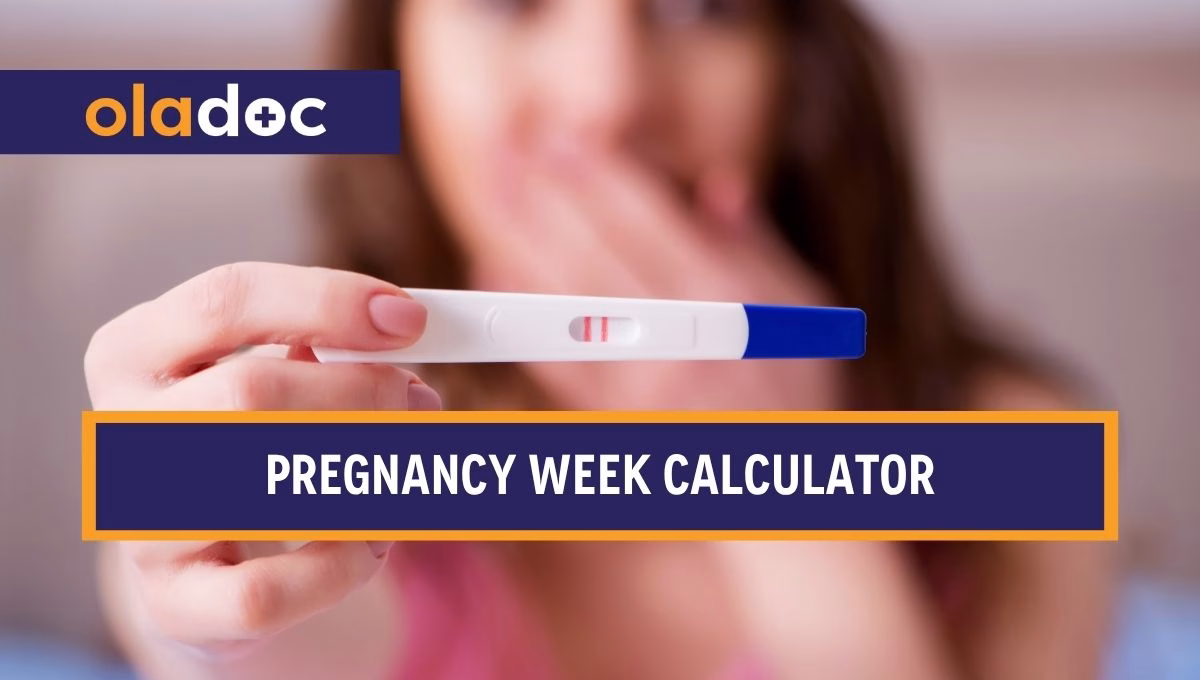 Pregnancy Week Calculator 2026: Track Every Week Until Birth