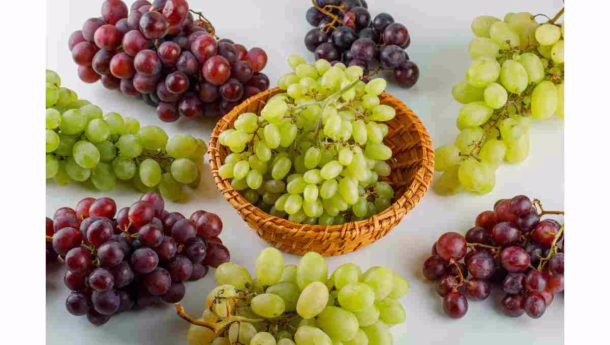 Grape Calories and Benefits: Black, Green vs Red Grapes